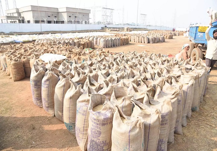 धान खरीदी