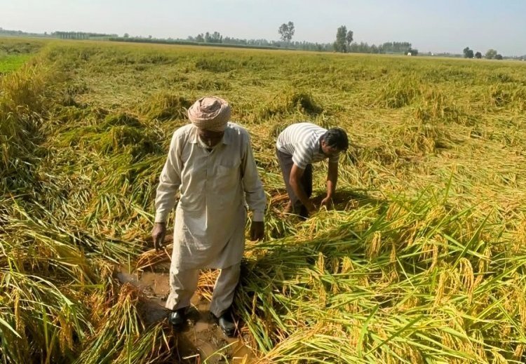 भारी बारिश का अलर्ट